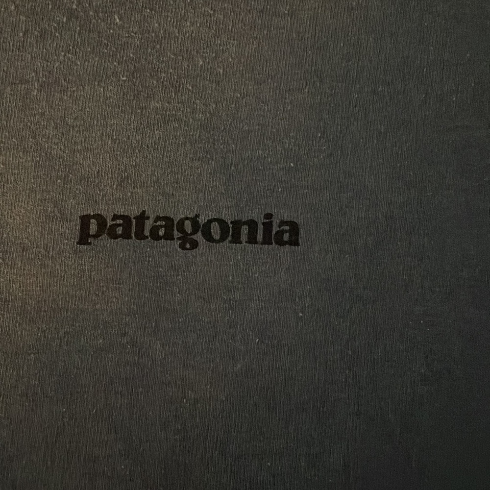 Mens Patagonia long sleeve tshirt